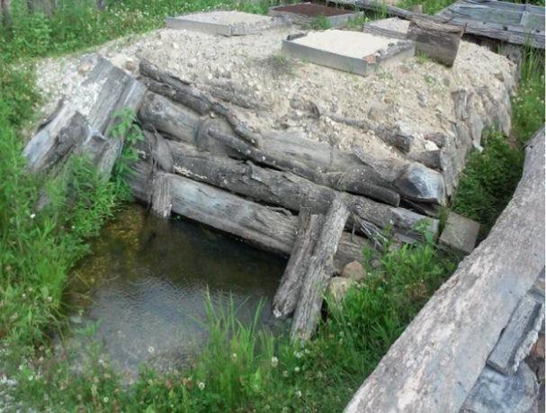 HIbernaculum in Summer