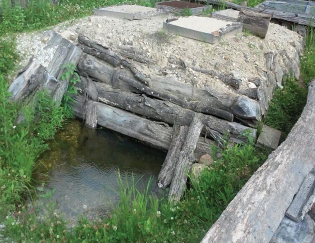 Hibernaculum