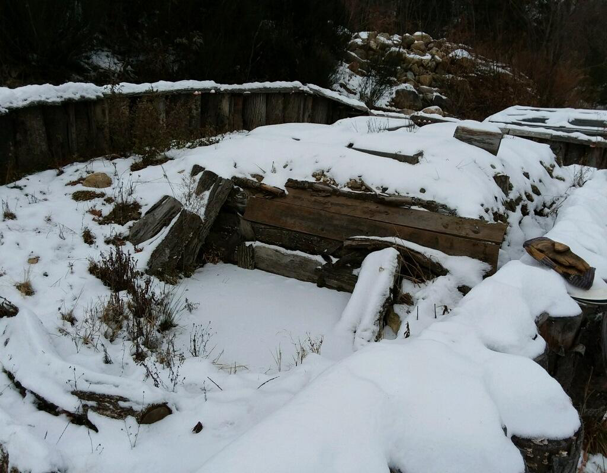 HIbernaculum in winter