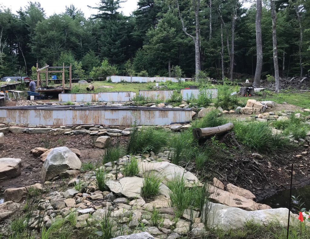 BHPS Turtle Sanctuary